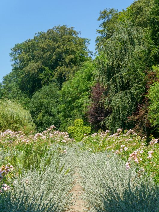 jardins-de-sericourt-m06-2018-a-chaput-pas-de-calais-tourisme-11
