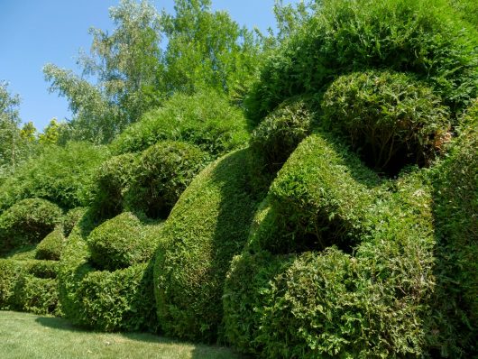 jardins-de-sericourt-m06-2018-a-chaput-pas-de-calais-tourisme-7-1