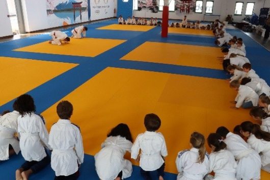 judo