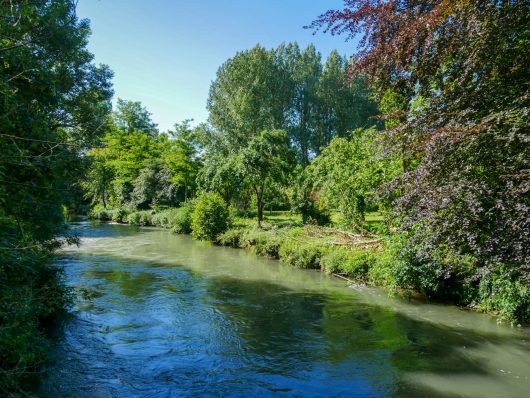 la-canche-aubin-saint-vaast-1-a-chaput-pas-de-calais-tourisme-1