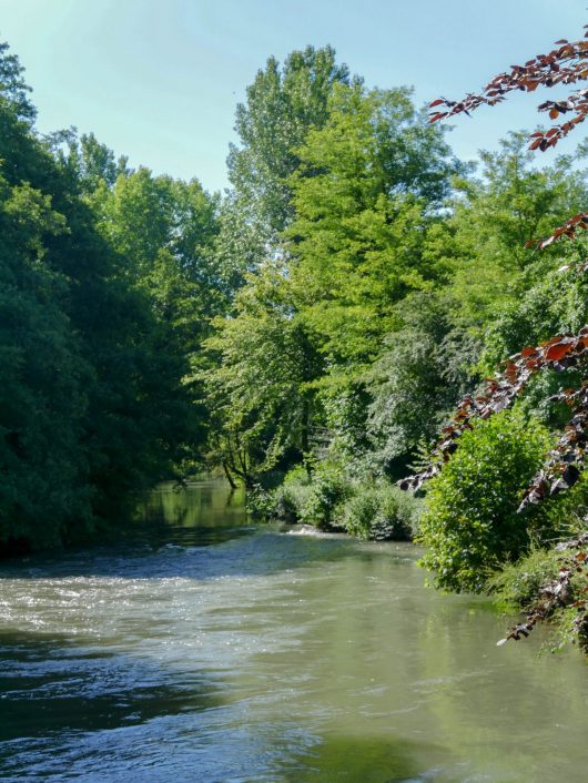 la-canche-aubin-saint-vaast-3-a-chaput-pas-de-calais-tourisme