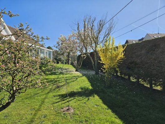 la-chambre-des-pelouses-6-1