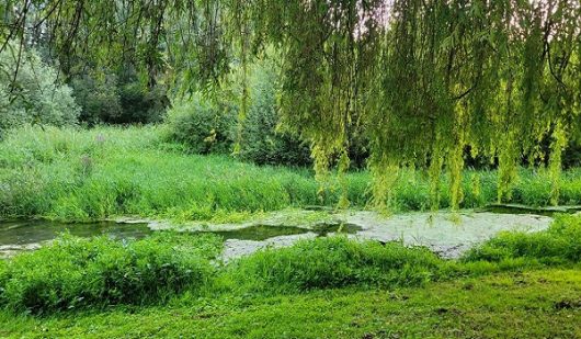 la-madelaine-lanternes-justine-musiala