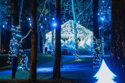 lancement-illuminations-noel