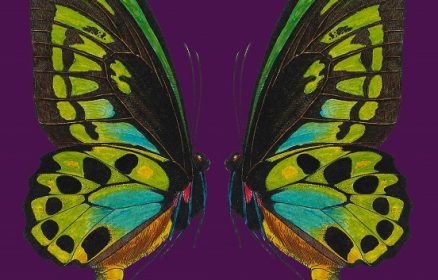 Le Grand Bain : Été 2026