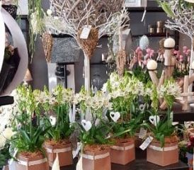 Les Fleurs d&rsquo;Inès