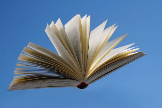 livre-seul-pixabay-1