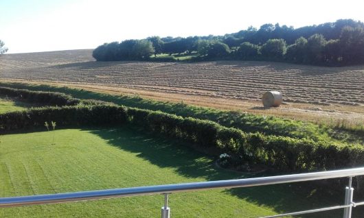 maison-moderne-a-la-campagne-bezinghem-haut-pays-d-opale-3