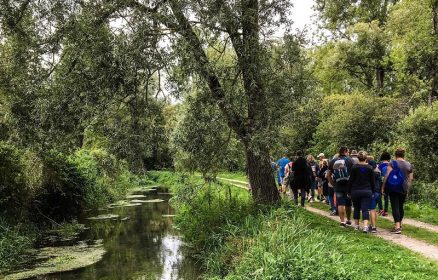 Les secrets des marais