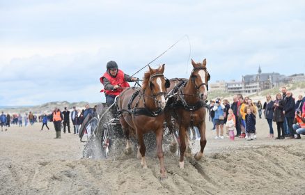 Marathon d&rsquo;Attelage