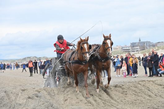 marathon-d-attelage-2024-service-communication-de-la-ville-de-berck-sur-mer-9