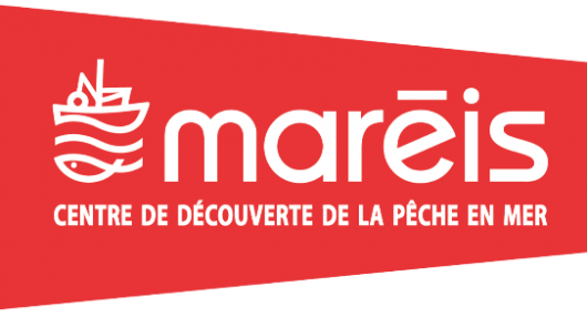 mareis-2