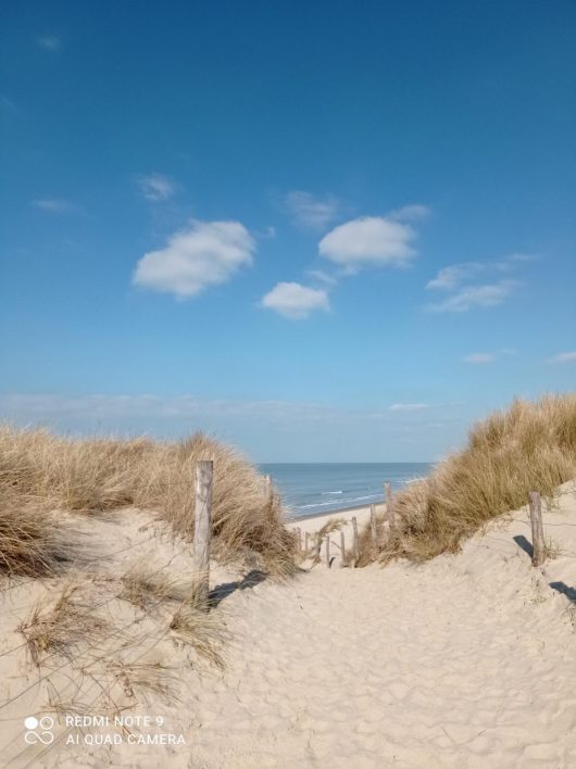 merlimont-nature-dunes-carolepoiret