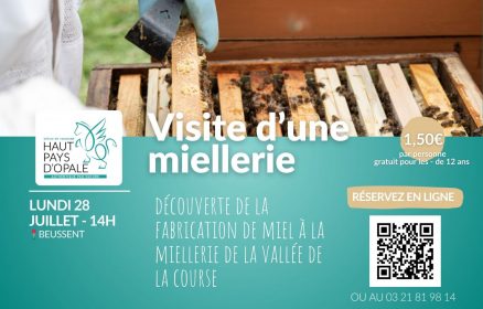 Découverte de la fabrication du miel