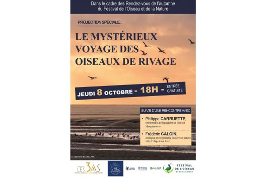 mysterieux-voyage-oiseau-ri