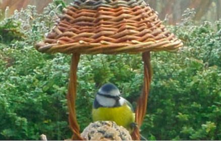 Hiver douillet pour Oiseaux de Jardin