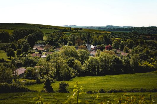 noeux-les-auxi-m05-2024-hd-les-oiseaux-voyageurs-fin-05-2029-1