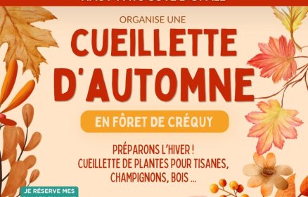 Cueillette d&rsquo;automne | 2è date