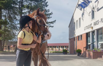 Fête du cheval