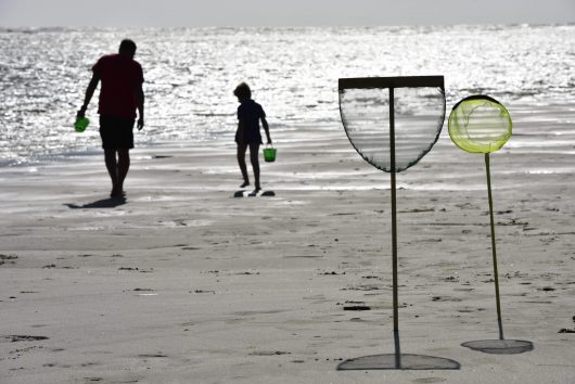 peche-a-pied-famille-service-communication-de-la-ville-de-berck-sur-mer