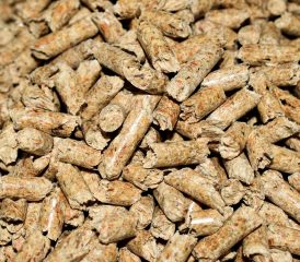 TotalEnergies Proxi Nord Est