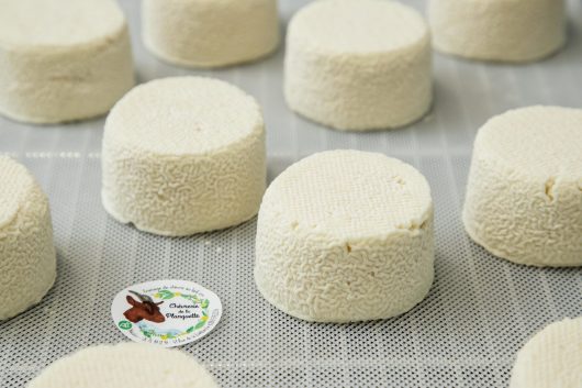 photo-anne-sophie-flament-chevrerie-de-la-planquette-production-fromages-de-chevres-fressin-2034