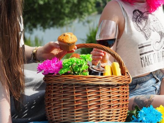 picnic-1456955-640