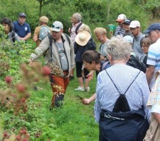 Sortie nature : « Sauvages et comestibles »