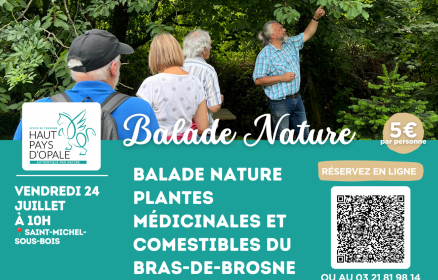 Balade nature plantes médicinales et comestibles du Bras-de-Brosne