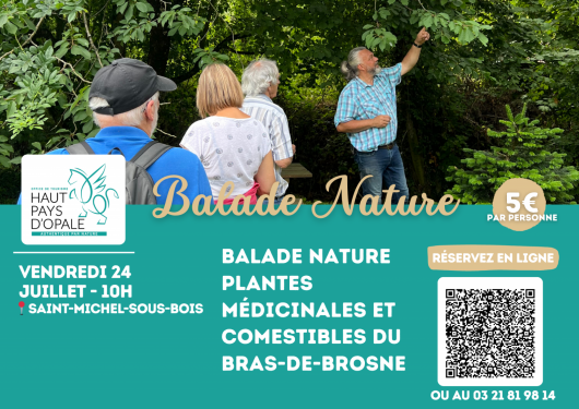 plantes-medicinales-et-comestibles-3