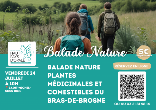 plantes-medicinales-et-comestibles