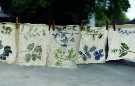 Plantes tinctoriales