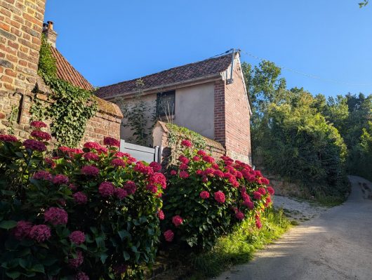 pxl-20250711-171856340