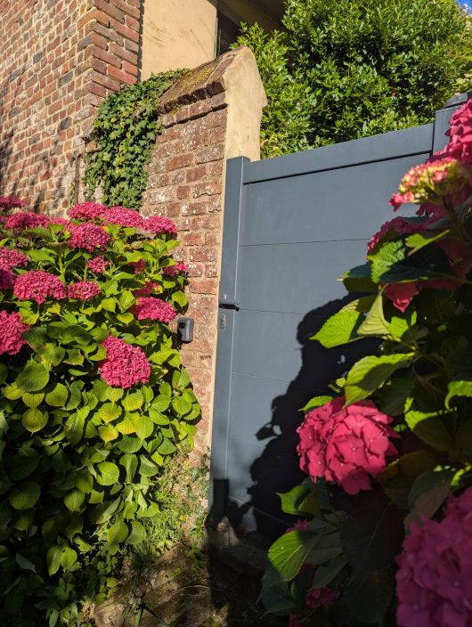 pxl-20250711-171938797