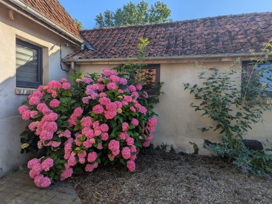 pxl-20250711-172237635