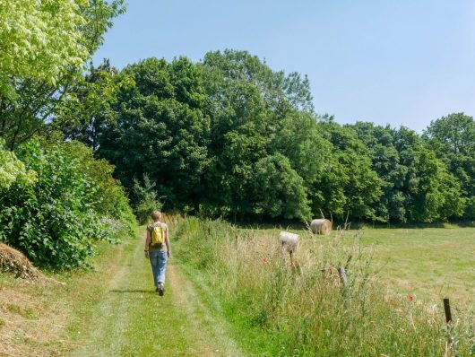 rando-buire-au-bois-1-a-chaput-pas-de-calais-tourisme