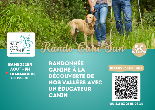 rando-cani-sun-2