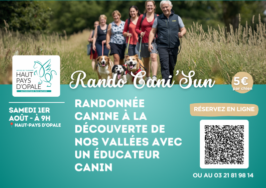 rando-cani-sun