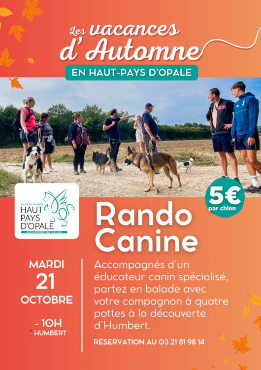 rando-canine-pas-de-calais-automne-octobre-2025-1