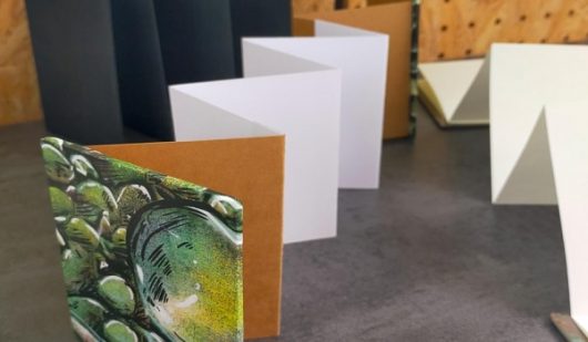 reliure-a-la-chartreuse-ban