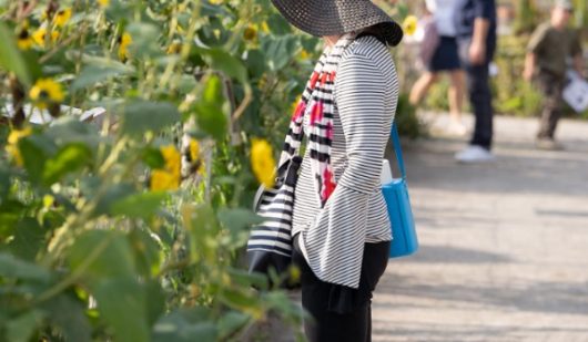 rendez-vous-aux-jardins-chartreuse-ban