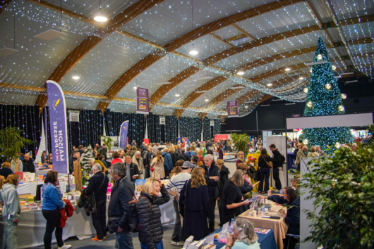 salon-du-livre-2025-3