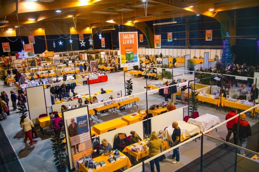 salondulivre4
