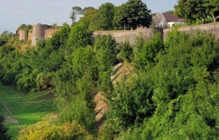 Arbres des Remparts de Montreuil