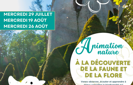 Animation nature – À la découverte de la faune et de la flore