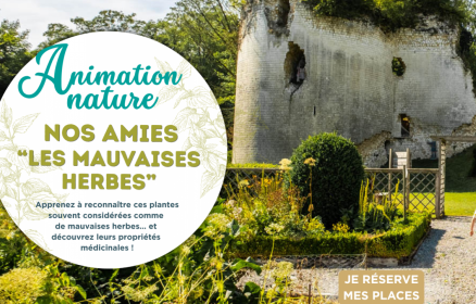 Sortie « Nos amies les mauvaises plantes » au Château de Fressin