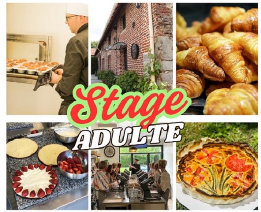 stage-adulte-juillet-2025