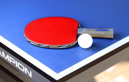 Animation Tennis de Table