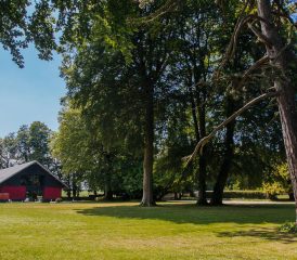Le Saint-André des arts