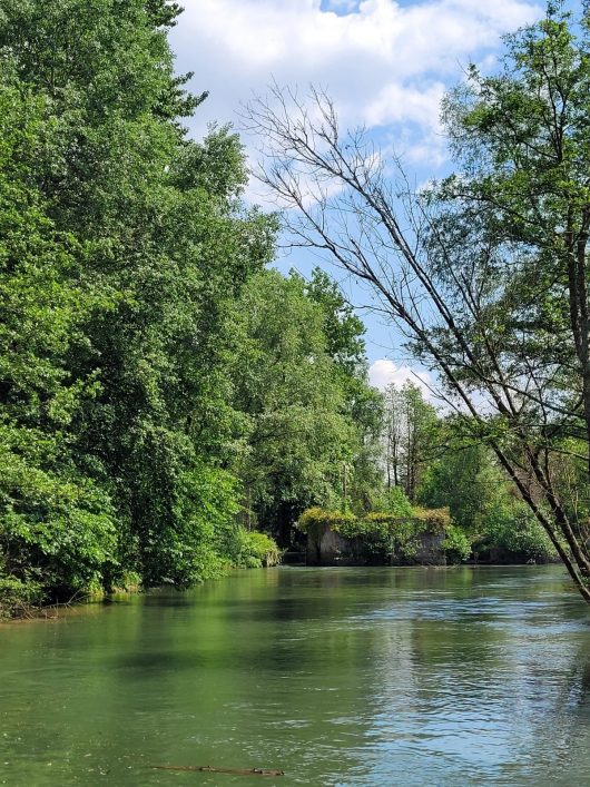 vallee-de-la-canche-nature-ete-montreuil-manon-herdier-otmco-4